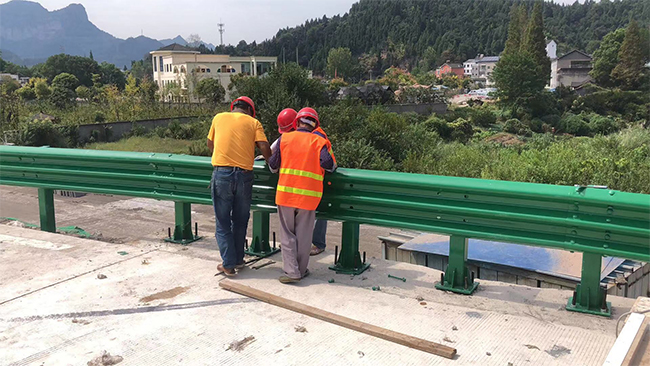 株洲高速公路护栏板的维护确保道路安全的关键环节